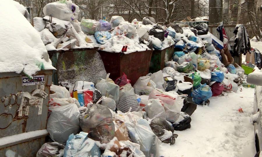Реформа обращения с ТКО в бездействии — ряд городов и районов зарастают мусором