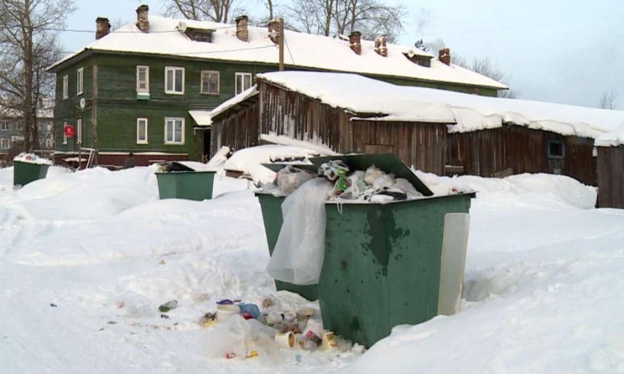 Жители Кегострова и местные активисты продолжают борьбу с мусором